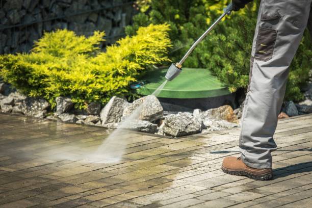 Best Gutter Cleaning and Brightening in Chicago Heights, IL