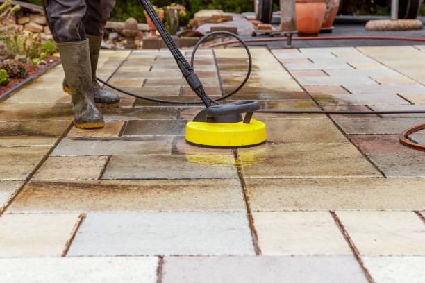 Best Soft Washing for Delicate Surfaces in Chicago Heights, IL