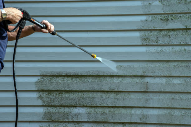 Best Roof Cleaning and Mildew Removal in Chicago Heights, IL